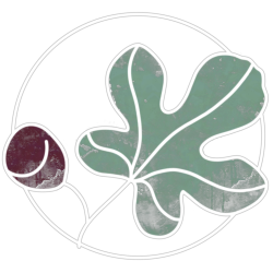 Stories of Symmetry Album Artwork