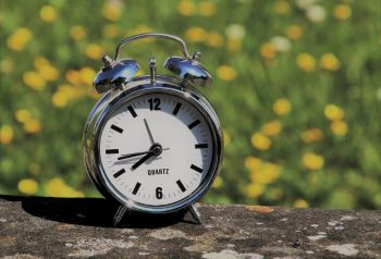 Clock on a log with grass in background