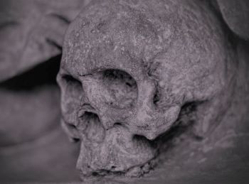 Stone shaped like a skull