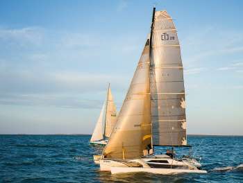 Sailboat on the water